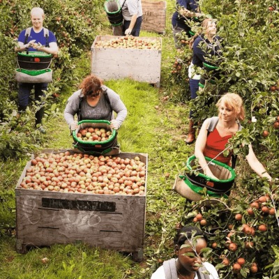 Giving JLP an Edge in a Competitive Seasonal Job Market
